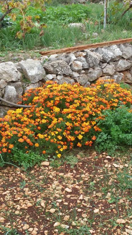 Country House Rusula Vrsine Bagian luar foto