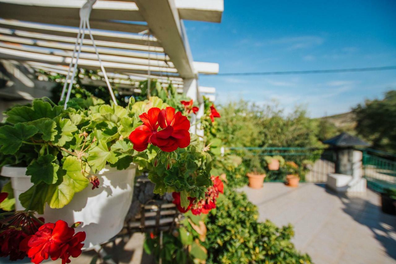 Country House Rusula Vrsine Bagian luar foto